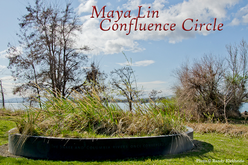 Large circular planter with native grasses