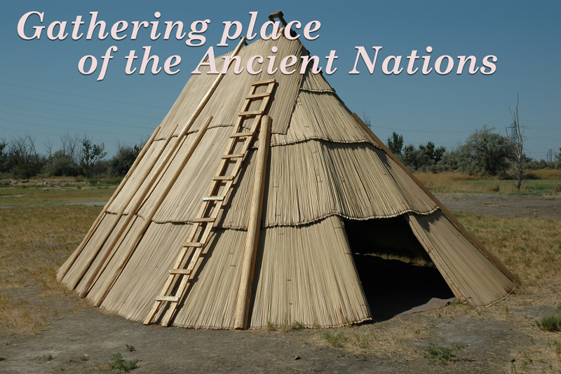 Shelter made from tule reed mats